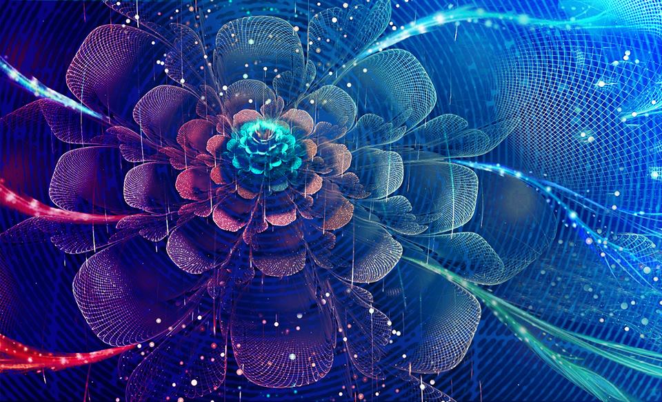 Elaborati a fine workshop. Una fusione tra natura e artificio. Dove l’immagine rielaborata, dalla fotografia al digitale, utilizzando i software più aggiornati, si è trasformata assumendo una nuova forma una nova realtà.
Secondo molti un’immagine può imprigionare l’anima o per meglio dire le emozionidi ciò che rappresenta. Il nostro cervello funziona prevalentemente per immagini, queste sono il prodotto delle parole, cosi come anche dei sogni e cosi via. Ed è il nostro cervello, sede delle nostre emozioni, a determinare la forza di un immagine.